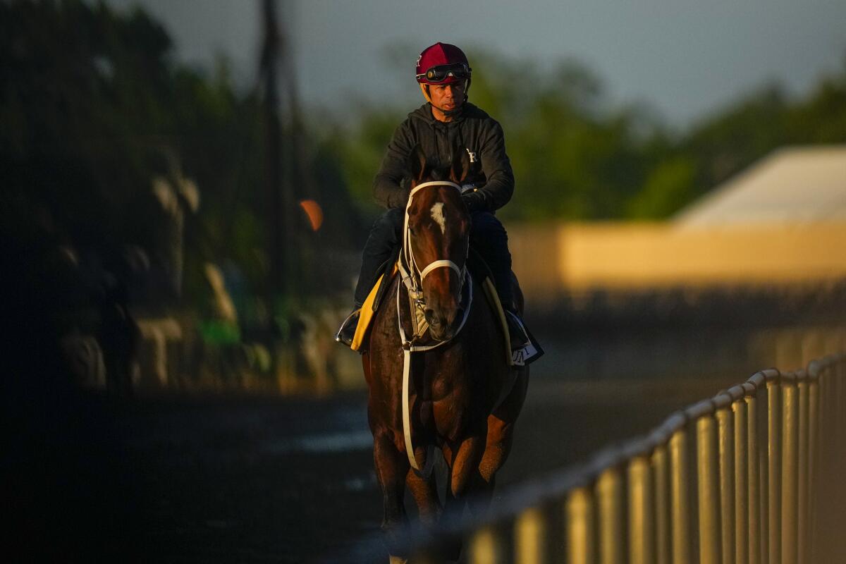 Preakness Stakes entrant Uncle Heavy works out Thursday ahead of the 149th running of the Preakness Stakes.
