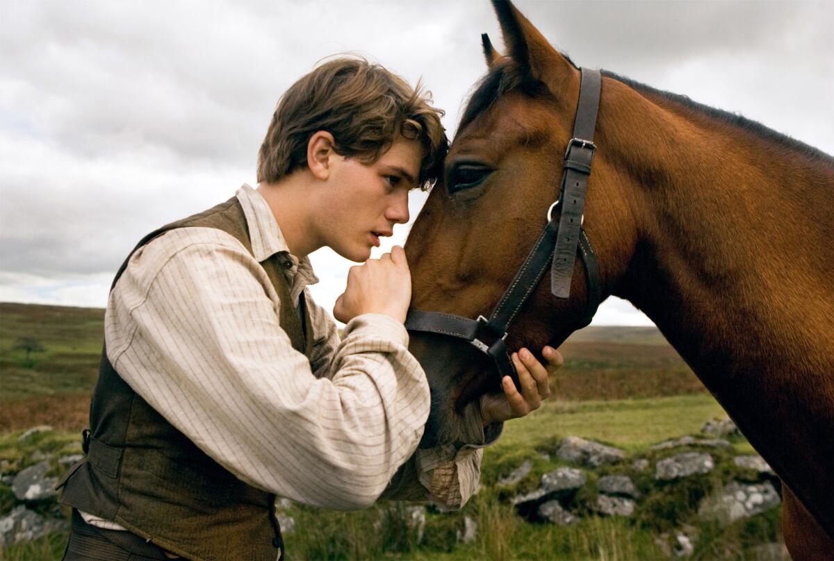 'War Horse' (Andrew Cooper / DreamWorks)