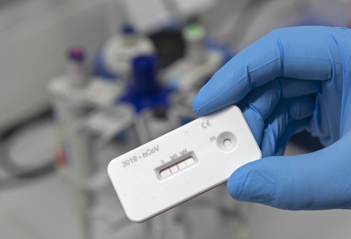 Un científico presenta una prueba de anticuerpos para el coronavirus en un laboratorio del Instituto Leibniz de Tecnologia Fotónica en Jena, Alemania, el viernes 3 de abril de 2020. (AP Foto/Jens Meyer)
