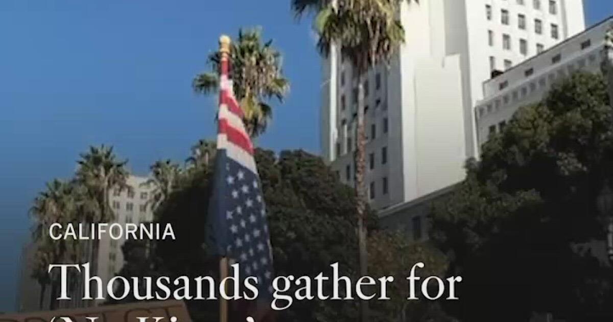 Thousands Rally Nationwide in 'No Kings' Protests