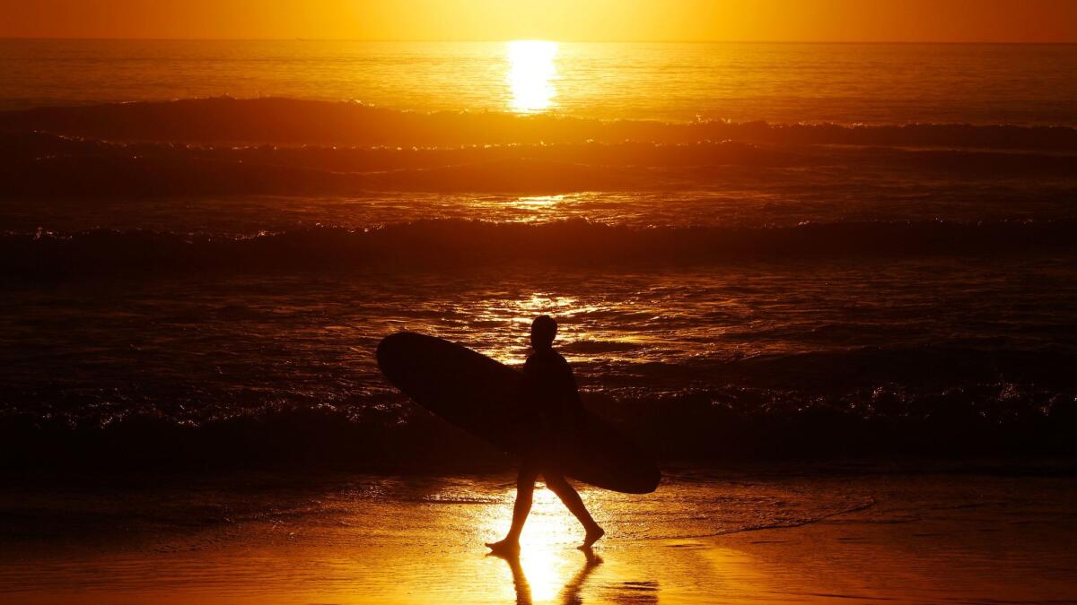 A man carries a surfboard at sunset at El Porto on Monday, February 8, 2016 in Manhattan Beach, Calif. A record high of 88 degrees was set at Los Angeles International Airport, breaking the old record of 87 set in 1996. (Patrick T. Fallon/ For The Los Angeles Times)