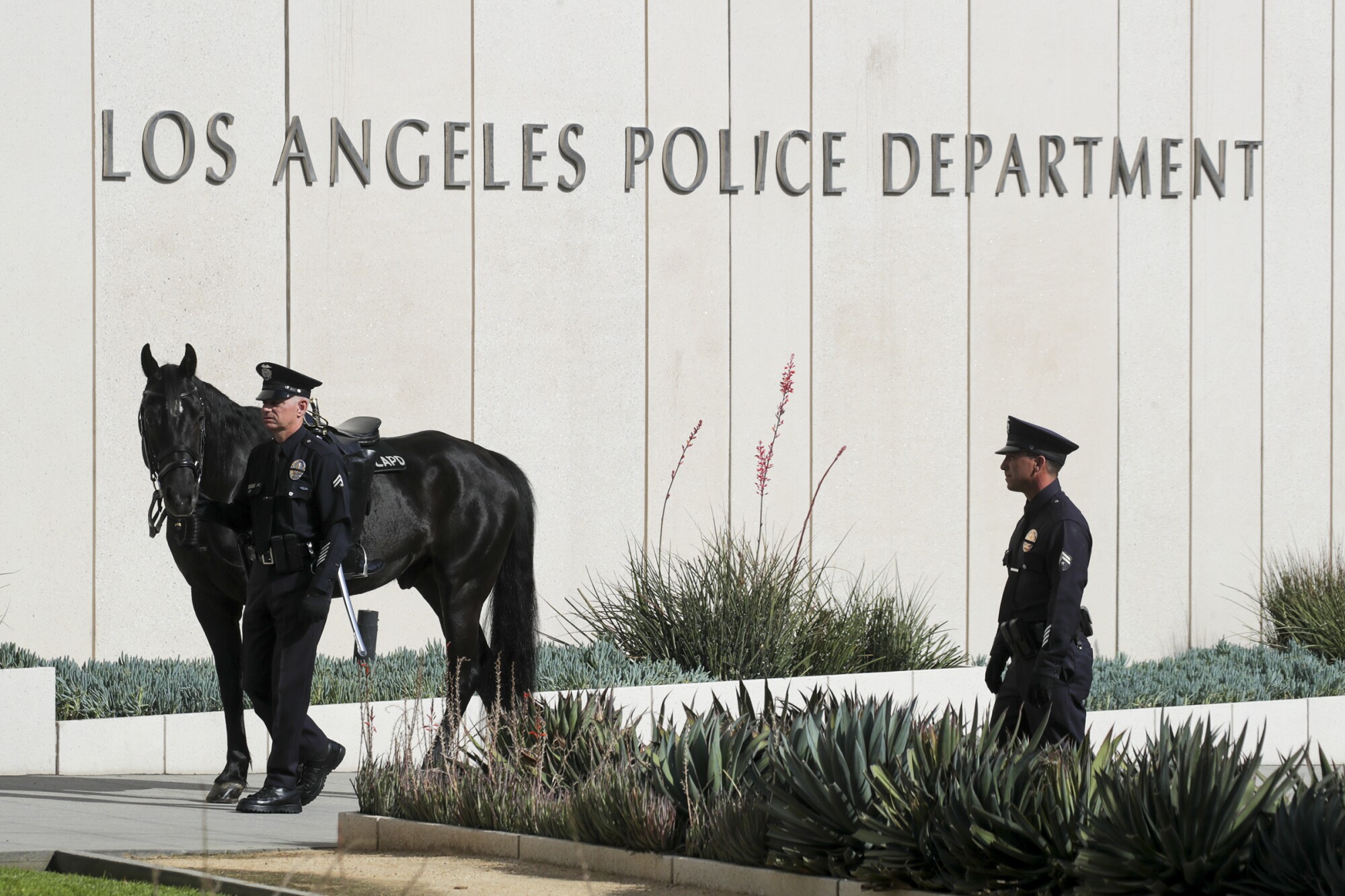 A LAPD riderless horse at a memorial ceremony to honor the 238 LAPD officers killed in the line of duty