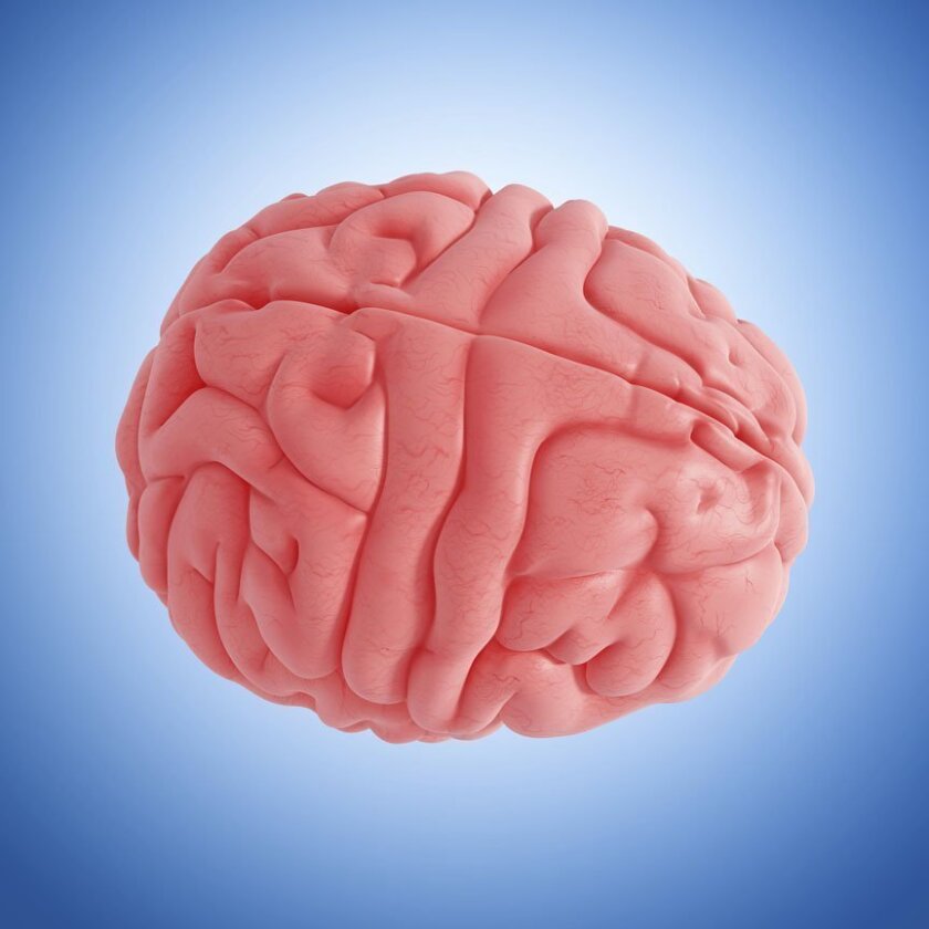 More brains. Мозг человека компьютер. Игры Brain Fitness. Игры для мозга.