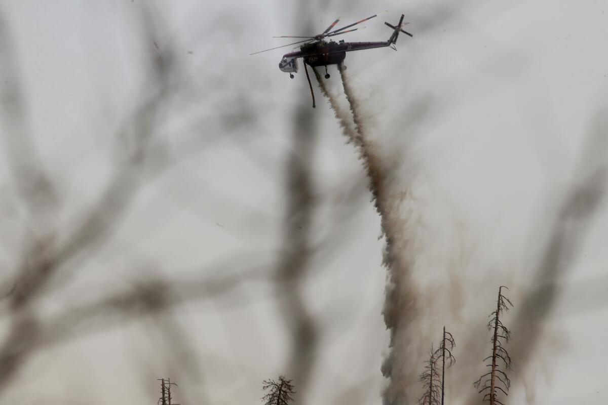 A firefighting helicopter is framed by the branches of charred trees as it drops water on the Oak fire 