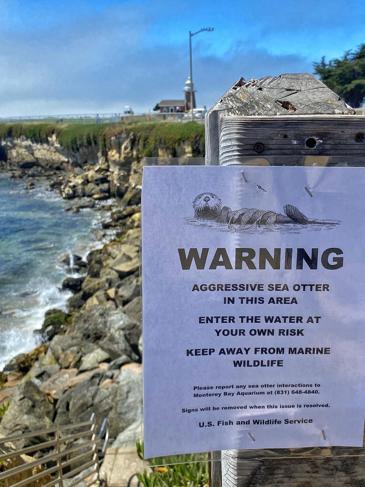 A sign on a shore warns of an aggressive sea otter. "Enter at your own risk," it says.