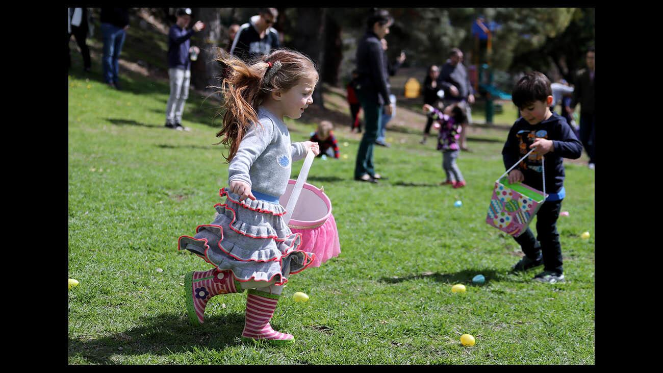 Emma Mnatsakanyan, 3 of La Crescenta, races for Easter eggs, at the Two Strike Park Easter Egg Hunt, in La Crescenta on Saturday, March 24, 2018. The event, which included coloring and photos with the Easter bunny, was sponsored by the L.A. County Parks & Recreation Dept.