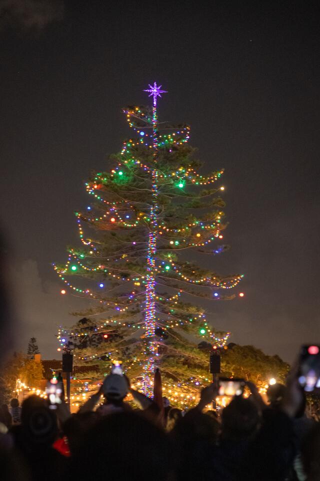 Photo gallery Liberty Station holiday tree lighting Point Loma & OB