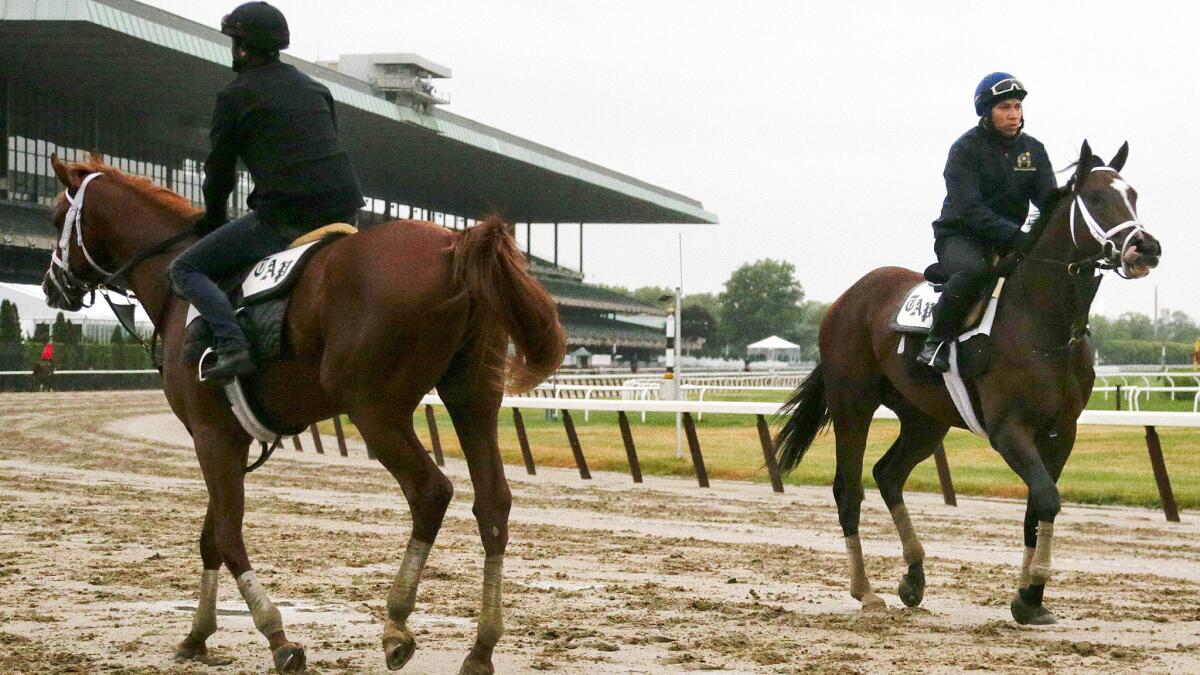 Trainer Todd Pletcher will send out Madefromlucky, left, and Materiality in the Belmont Stakes on Saturday.