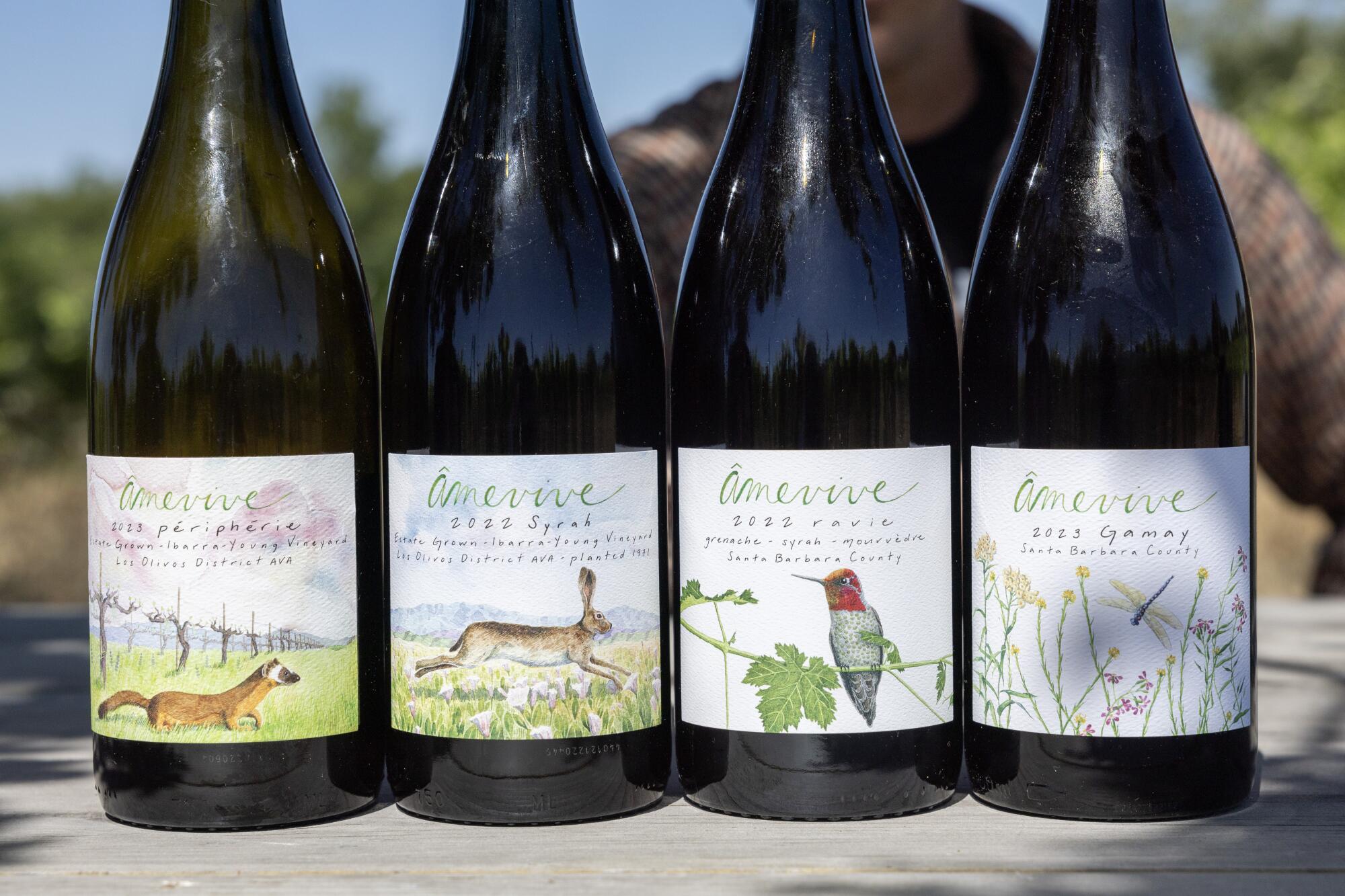 Wine bottles produced by ?mevive vineyard.