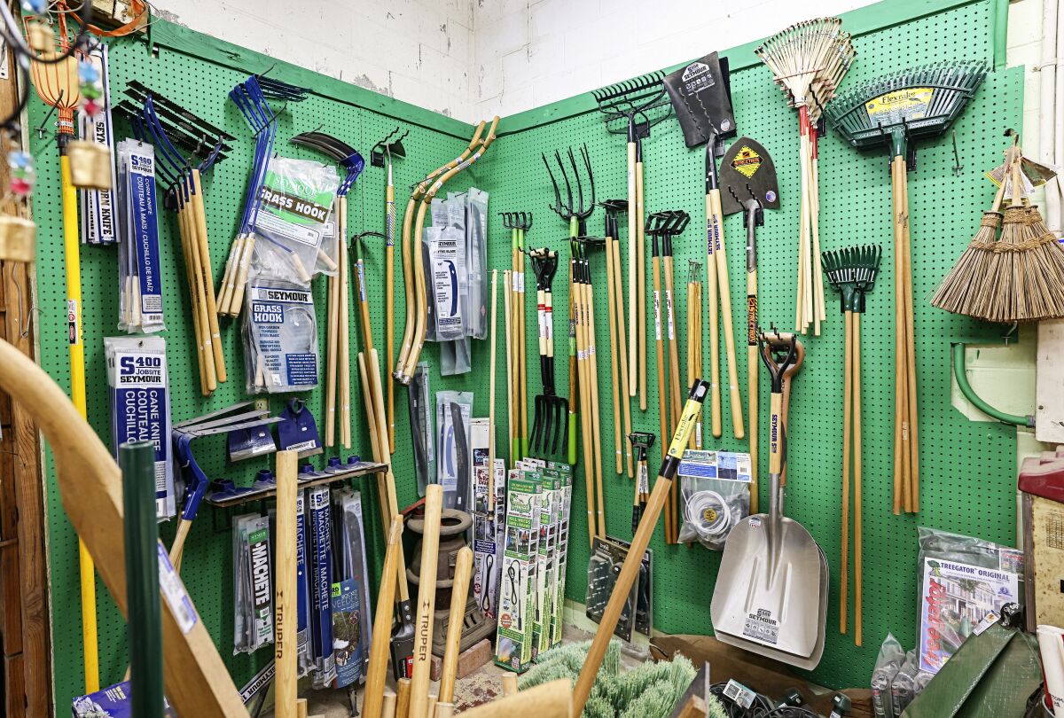 Garden novice? These are the essential tools to get growing - The San ...
