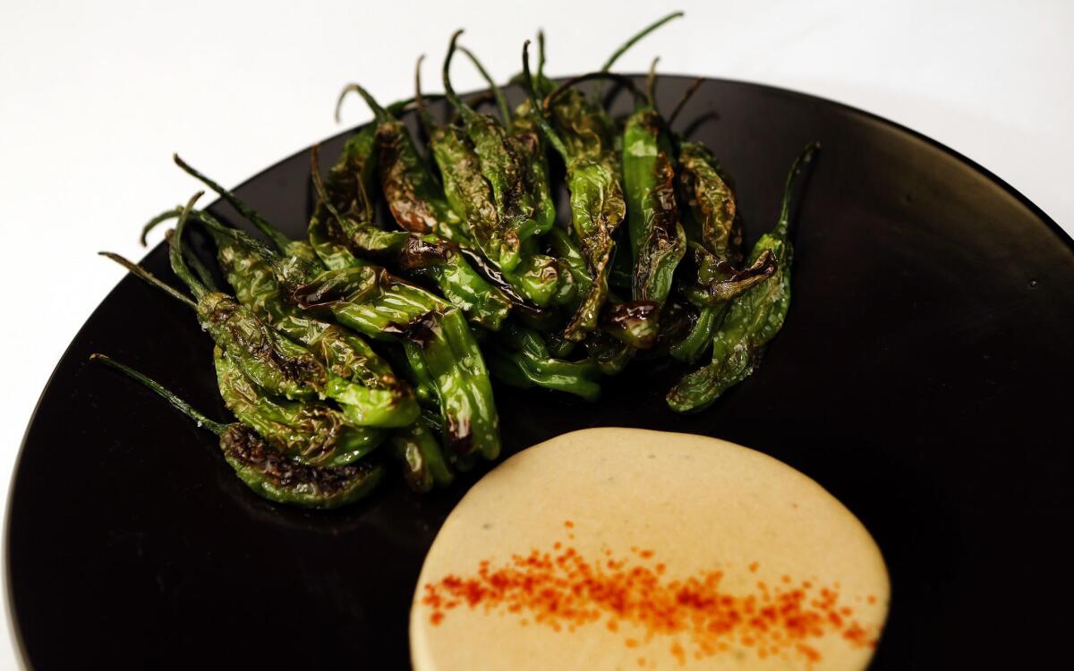 Shishito peppers with tonnato and huamei