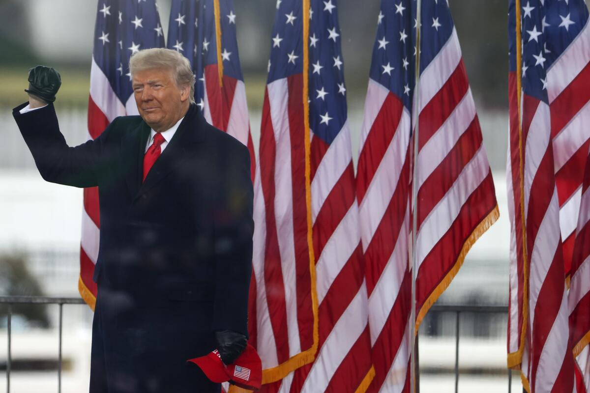 President Trump in front of a row of American flags.