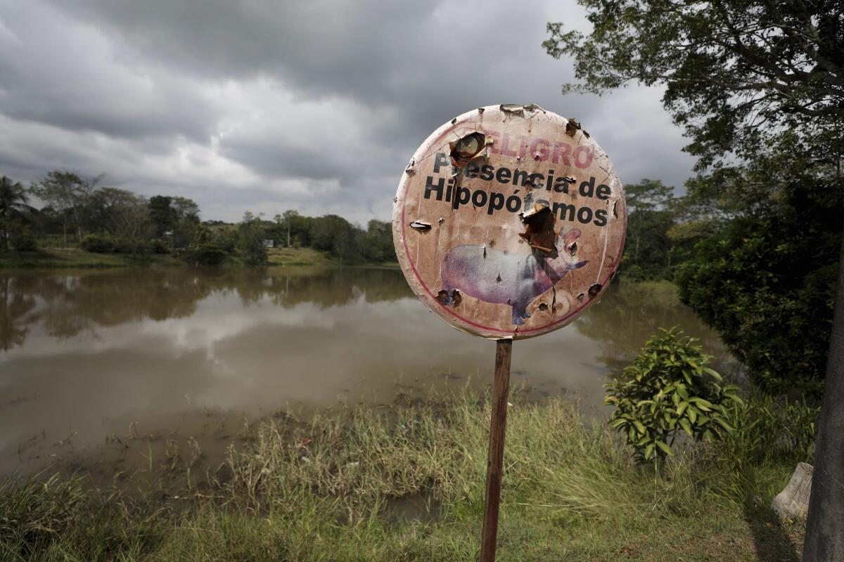 A sign written in Spanish says "Danger: Hippos present."