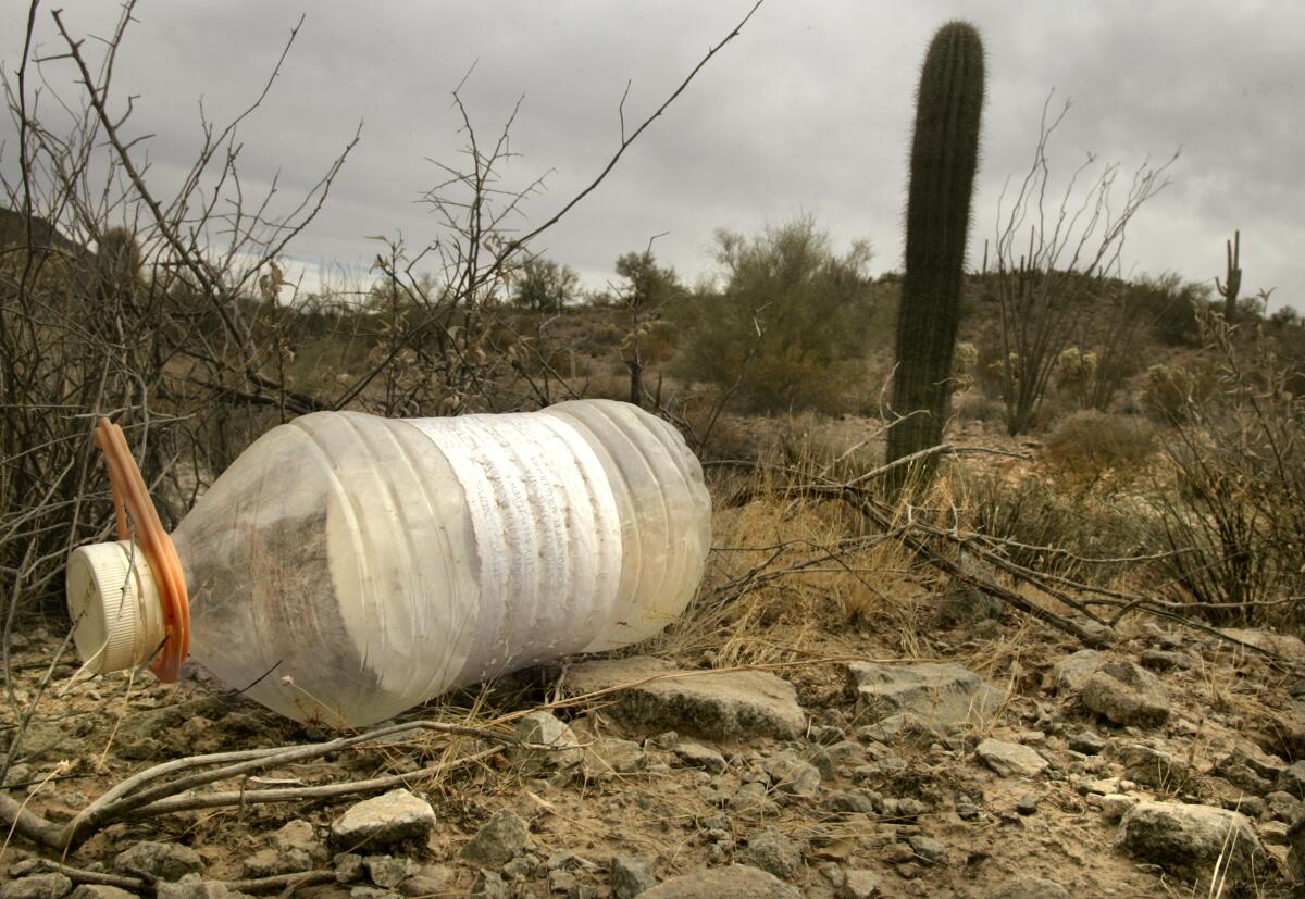 An empty water bottle left in the desert