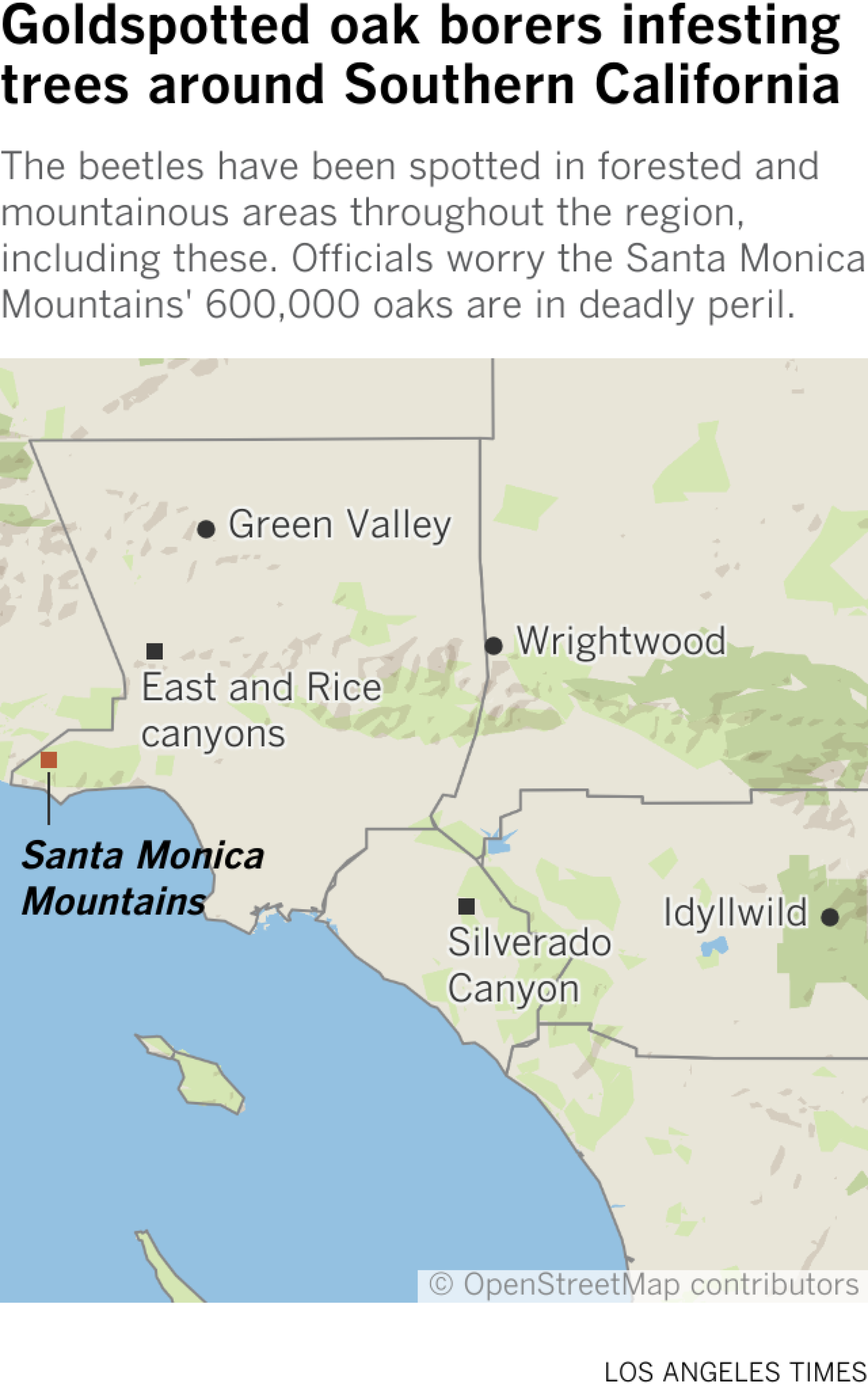 Map shows areas with known infestations of goldspotted oak borers in Southern California, including Green Valley, East Canyon, Rice Canyon, Wrightwood, Idyllwild and Oak Canyon