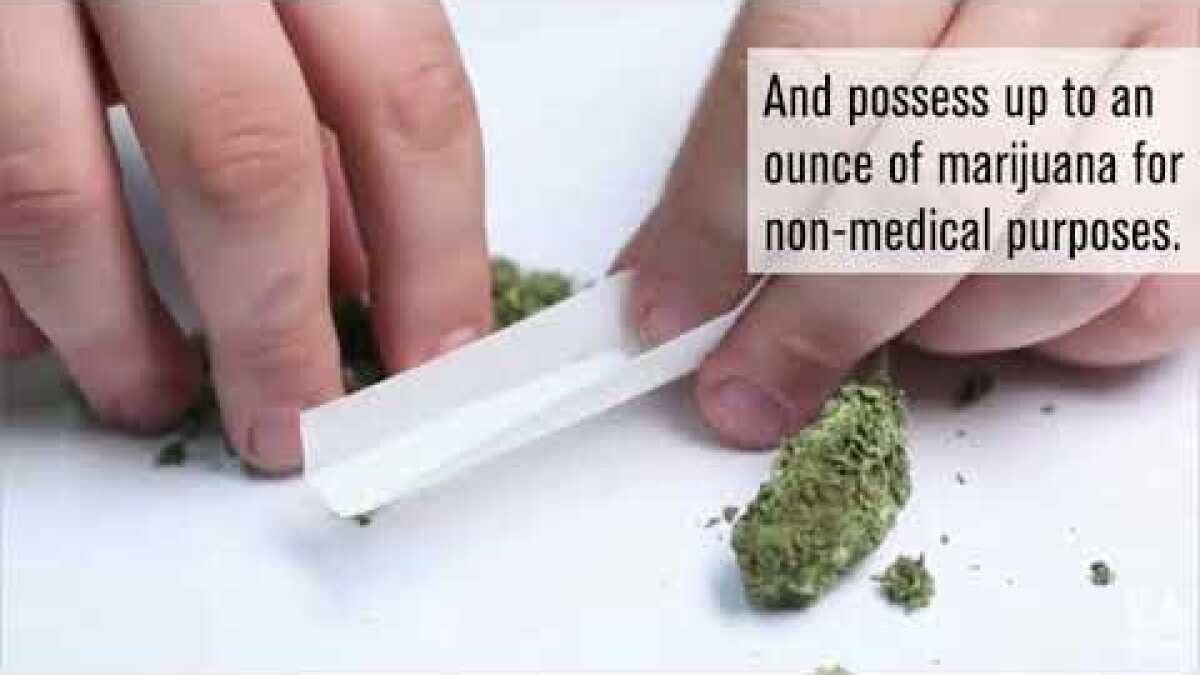 The Push To Legalize Pot For All Has Deeply Divided The Medical