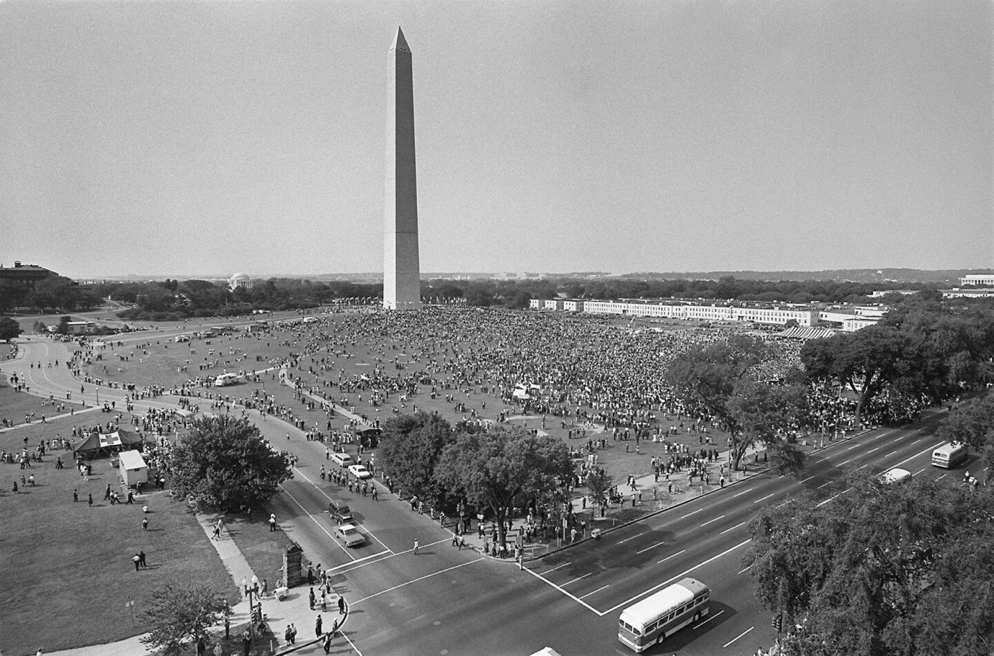 The crowd from a distance