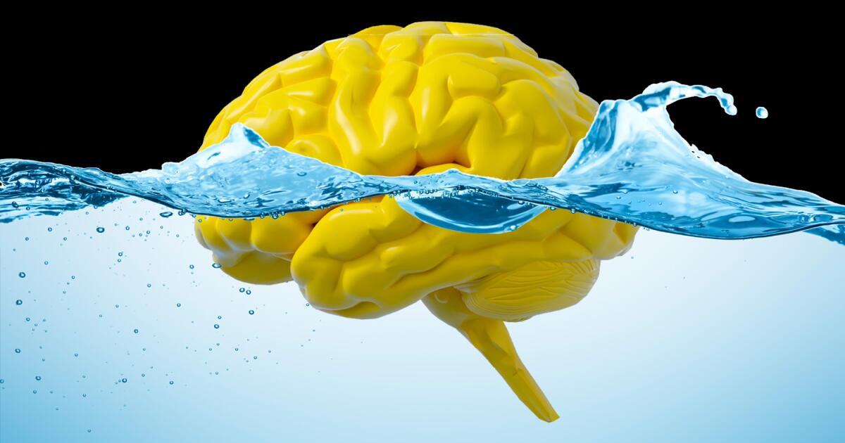 Des études montrent que les selles éliminent les matières de notre cerveau