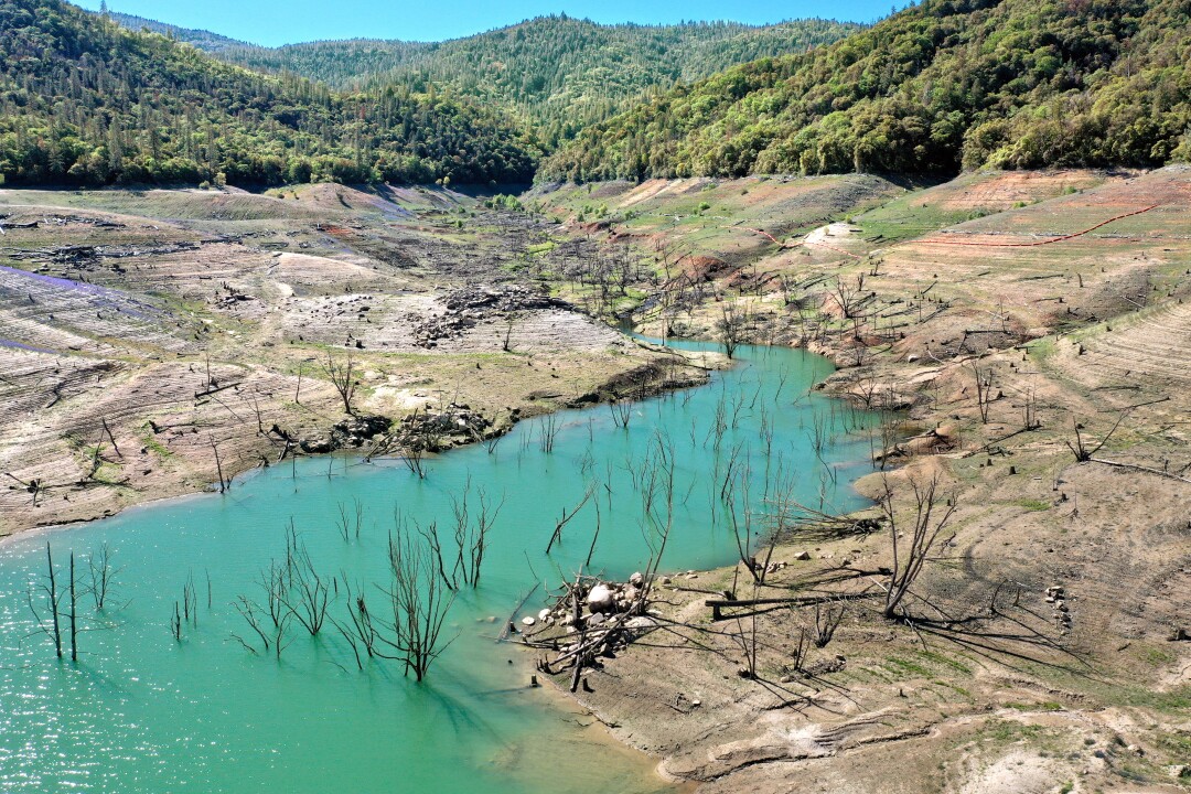 Branches of trees and shrubs appear as the waterline recedes.