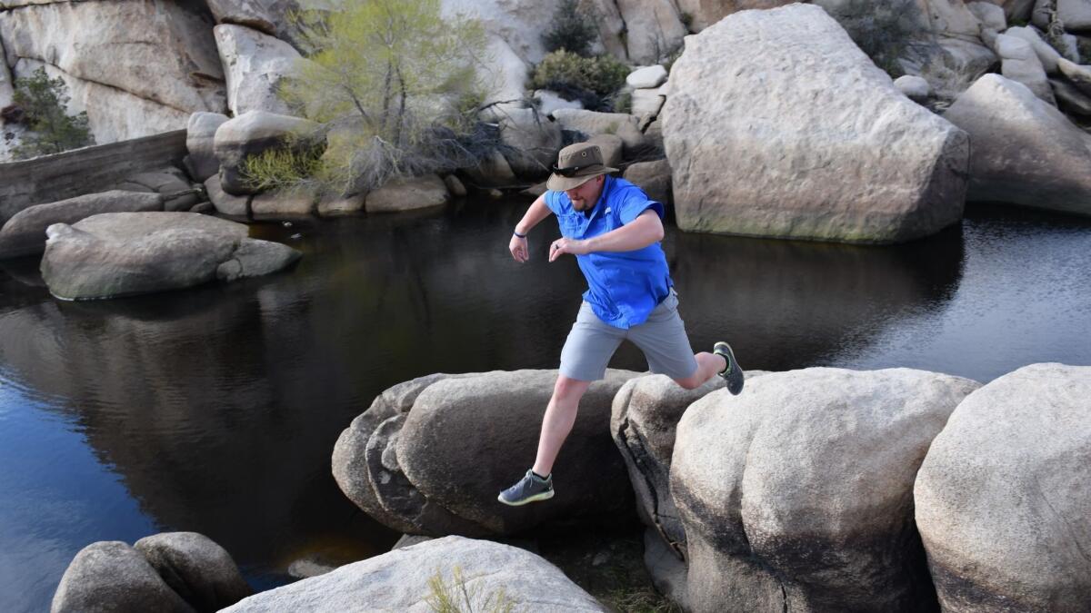 A hiker leaps from rock to rock at Barker Dam, near the Hidden Valley Campground in Joshua Tree National Park. He landed successfully.