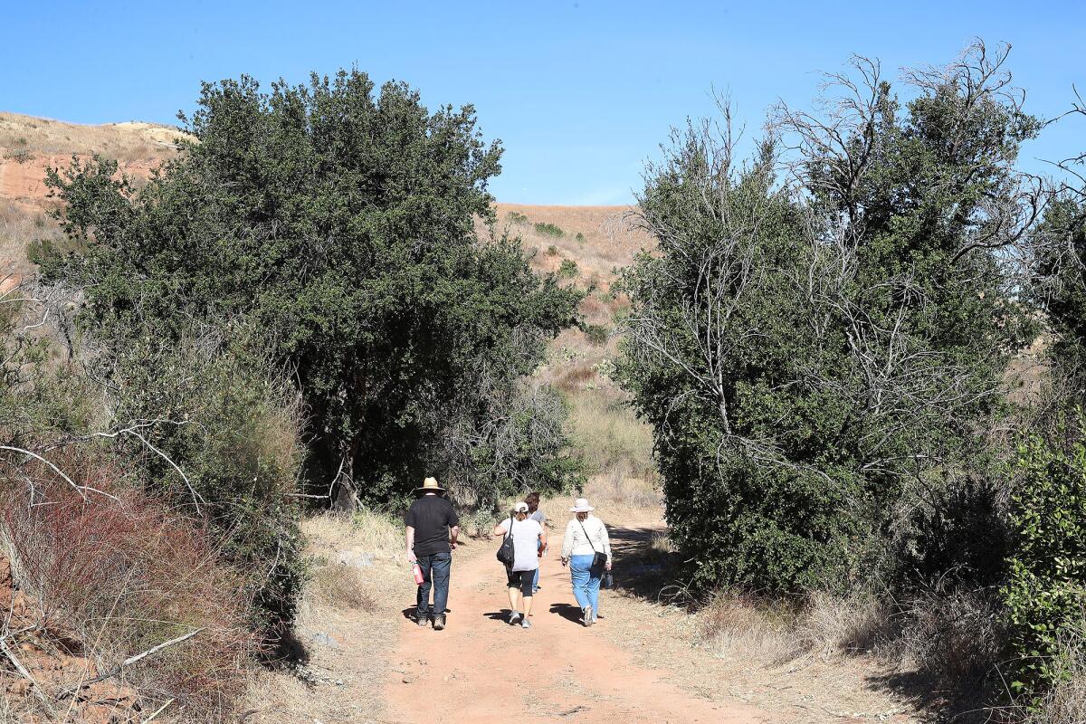 A trio of hikers walks the woodlands of the OC Parks' Gypsum Canyon Wilderness.