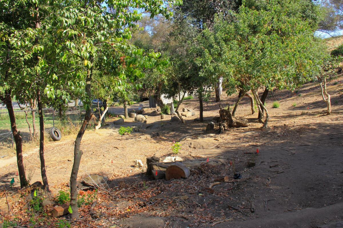 A metal storage shed barely visible at the edge of the Children's Garden in Elysian Park.