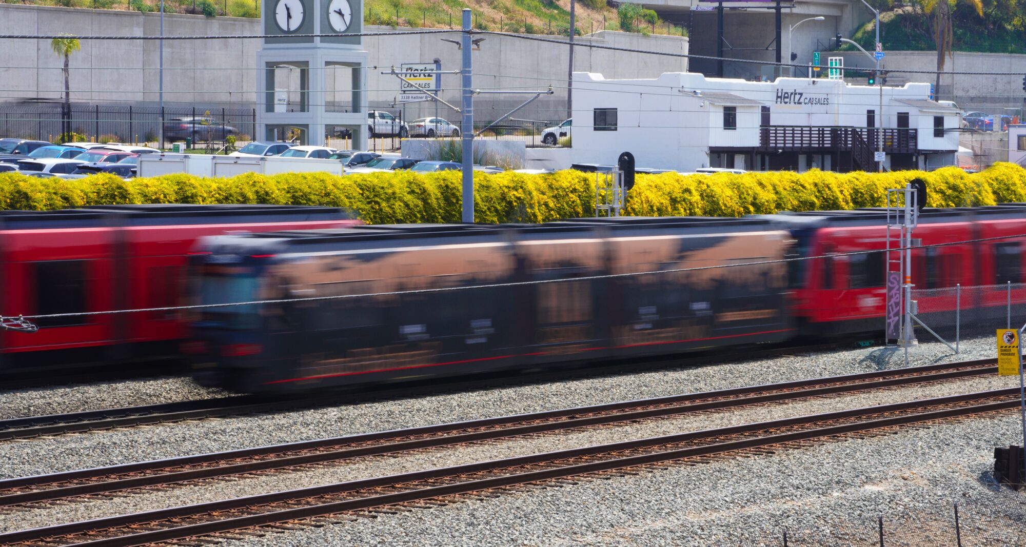 The north and south bound trollies along Pacific Highway run past a wall of blooms. 
