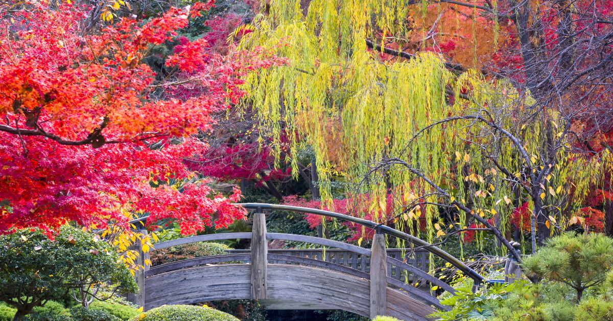 Japanese gardens carry the exterior in Japanese gardens carry the exterior in