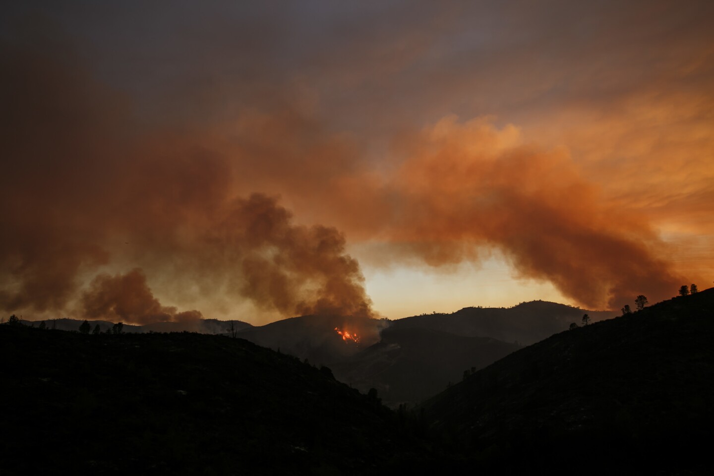 Plumes of smoke rises as the northern front of the Detwiler wildfire burns outside of Coulterville, Calif.
