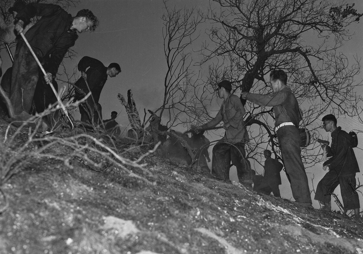 Civilian Conservation Corps volunteers battle a blaze.