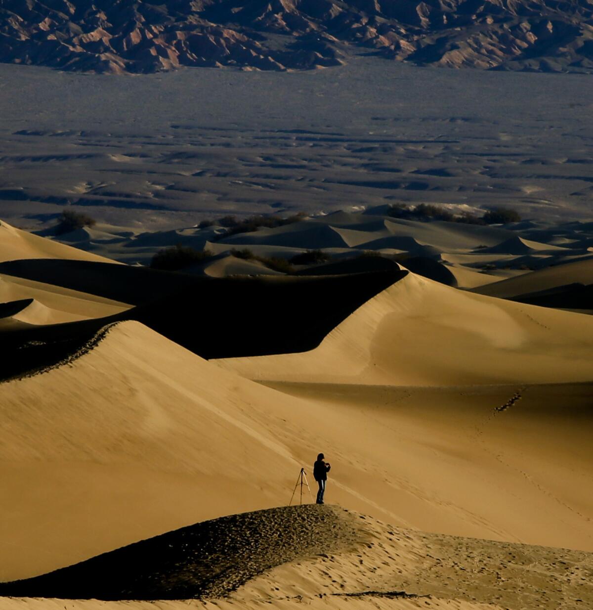 What to do on a free day in any national park? Take an early morning walk in the Mesquite Flat Sand Dunes in Death Valley National Park.