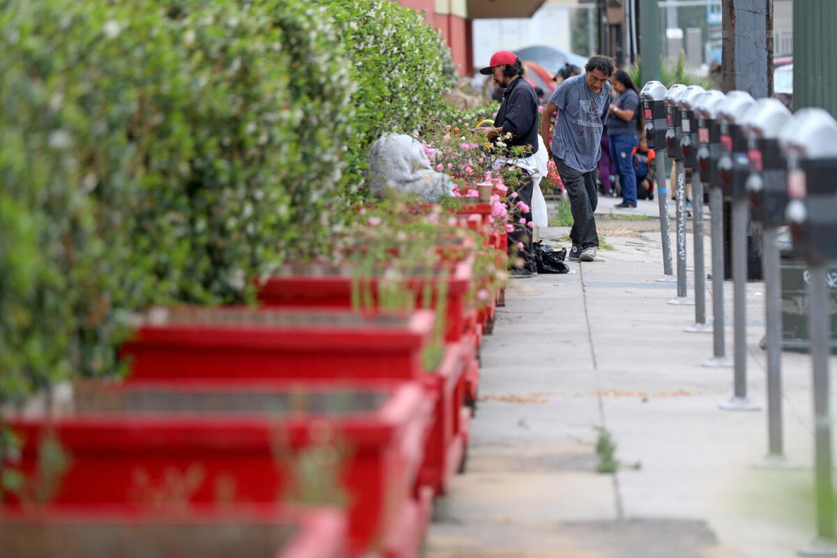Peter Mozgo, 49, operator of the Hungarian Cultural Center, has placed planters along the perimeter of the streets surrounding the center to prevent homeless from setting up tents. (Gary Coronado / Los Angeles Times