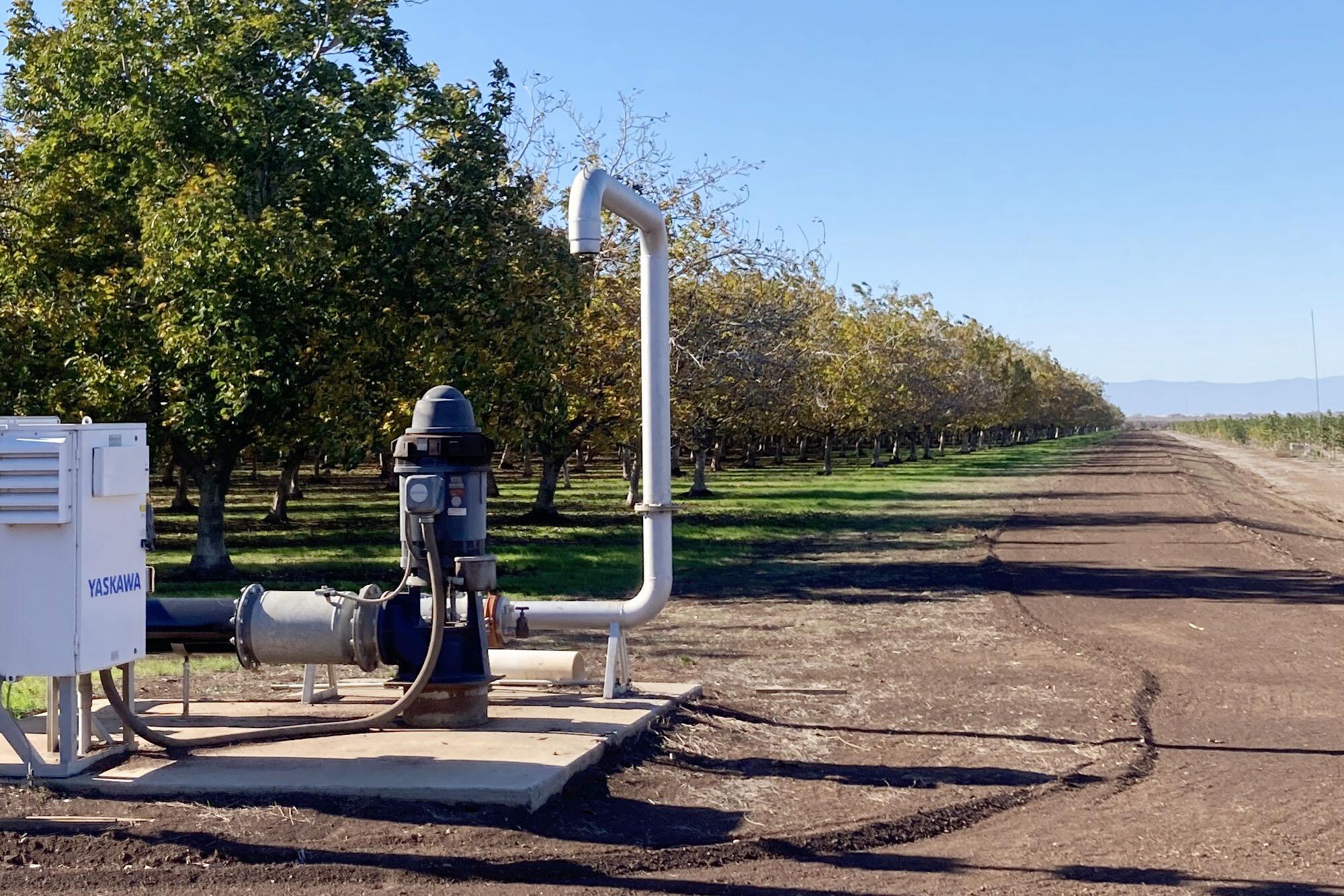 A pump draws groundwater to irrigate a nut orchard near Nord in Butte County.