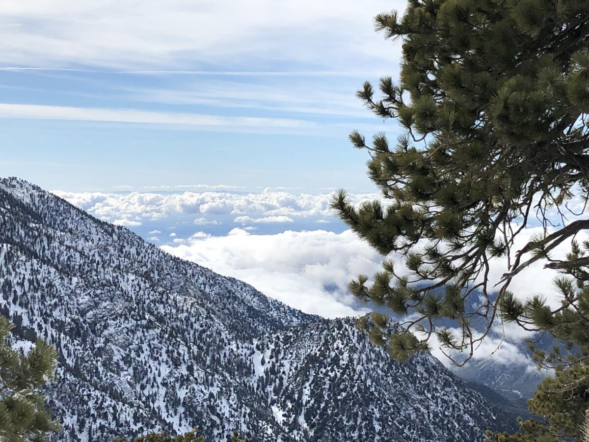 On top of the world at Mt. Baldy