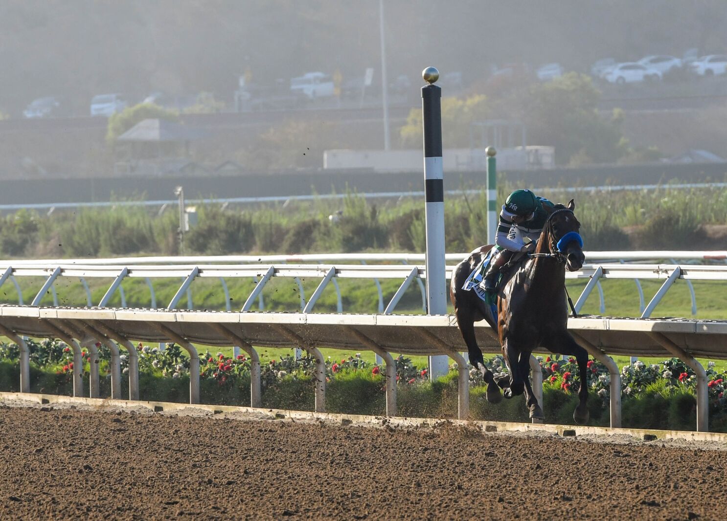 Classic highlights Del Mar's 2023 horse racing schedule - The San Diego Union-Tribune