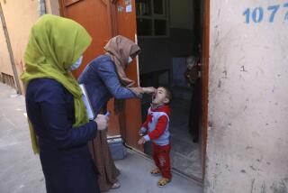 Health workers administer a polio vaccine to a child during a polio vaccination campaign in the city of Kabul, Afghanistan, Tuesday, March 30, 2021. Three female polio vaccinators were gunned down in separate attacks Tuesday in eastern Afghanistan, provincial officials said. (AP Photo/Rahmat Gul)