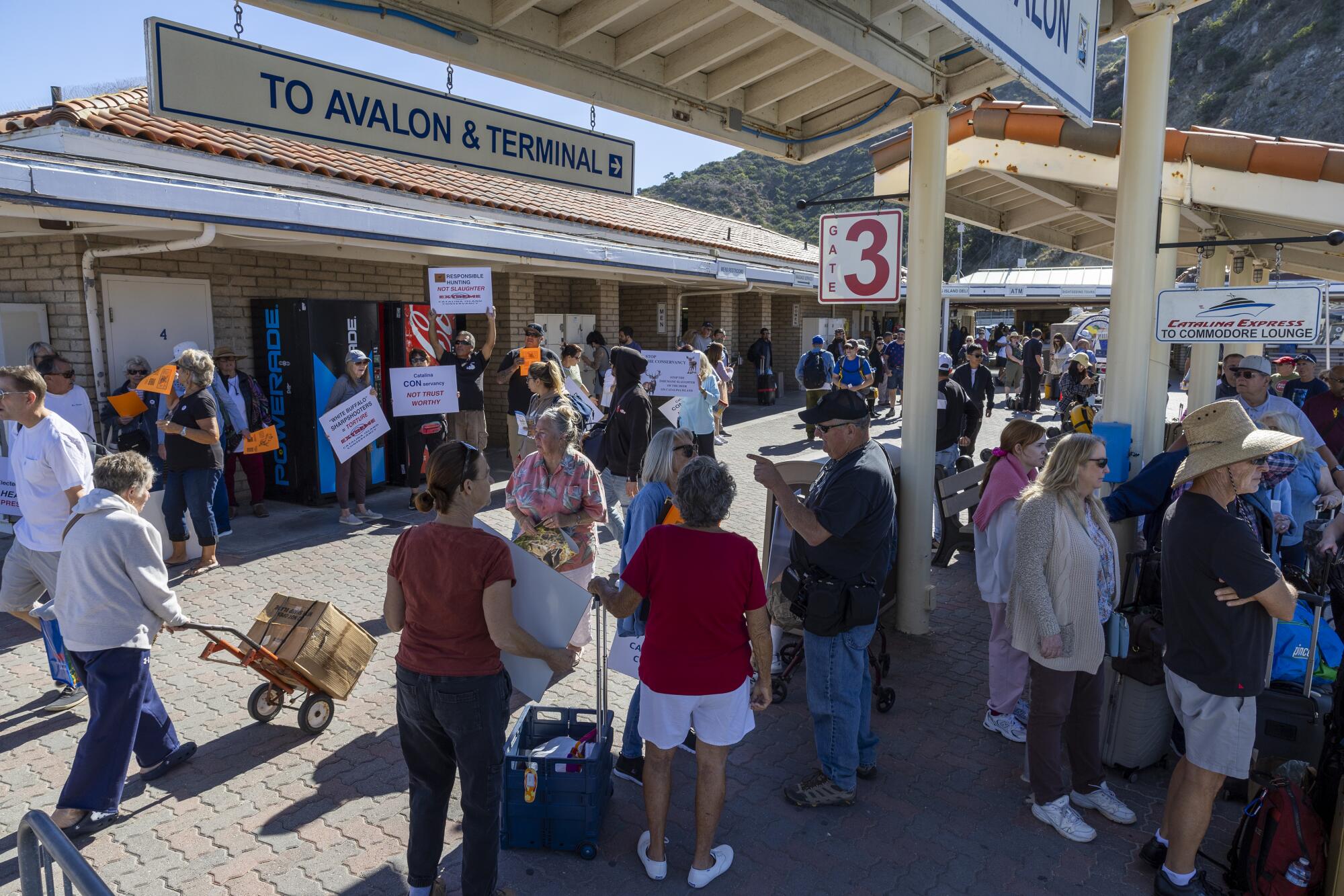 People stand around at the Catalina Express terminal on Catalina Island as other people hold protest signs