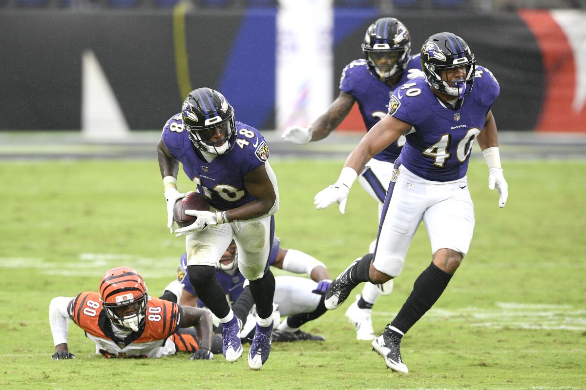 Baltimore Ravens inside linebacker Patrick Queen (48) collects a fumble by Cincinnati Bengals wide receiver Mike Thomas (80) while returning it for a 53-yard touchdown during the second half of an NFL football game, Sunday, Oct. 11, 2020, in Baltimore. The Ravens won 27-3. (AP Photo/Nick Wass)