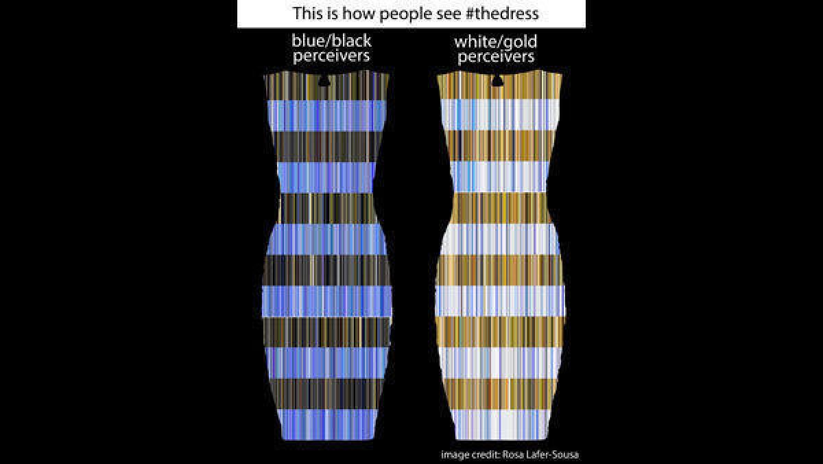 Esta imagen muestra todos los diferentes colores que la gente ve cuando miran #thedress.