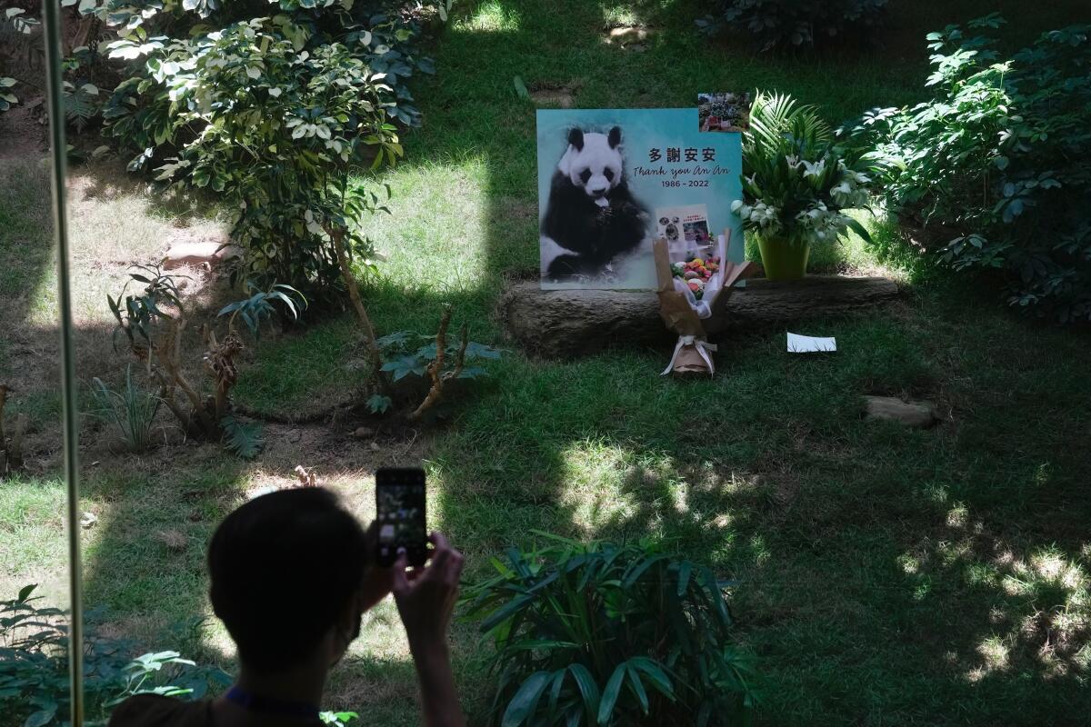Un visitante toma una fotografía luego de que se dio a conocer la muerte del panda gigante An An 