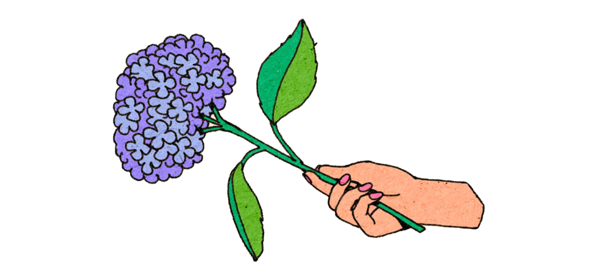 Illustration of a hand holding a purple flower