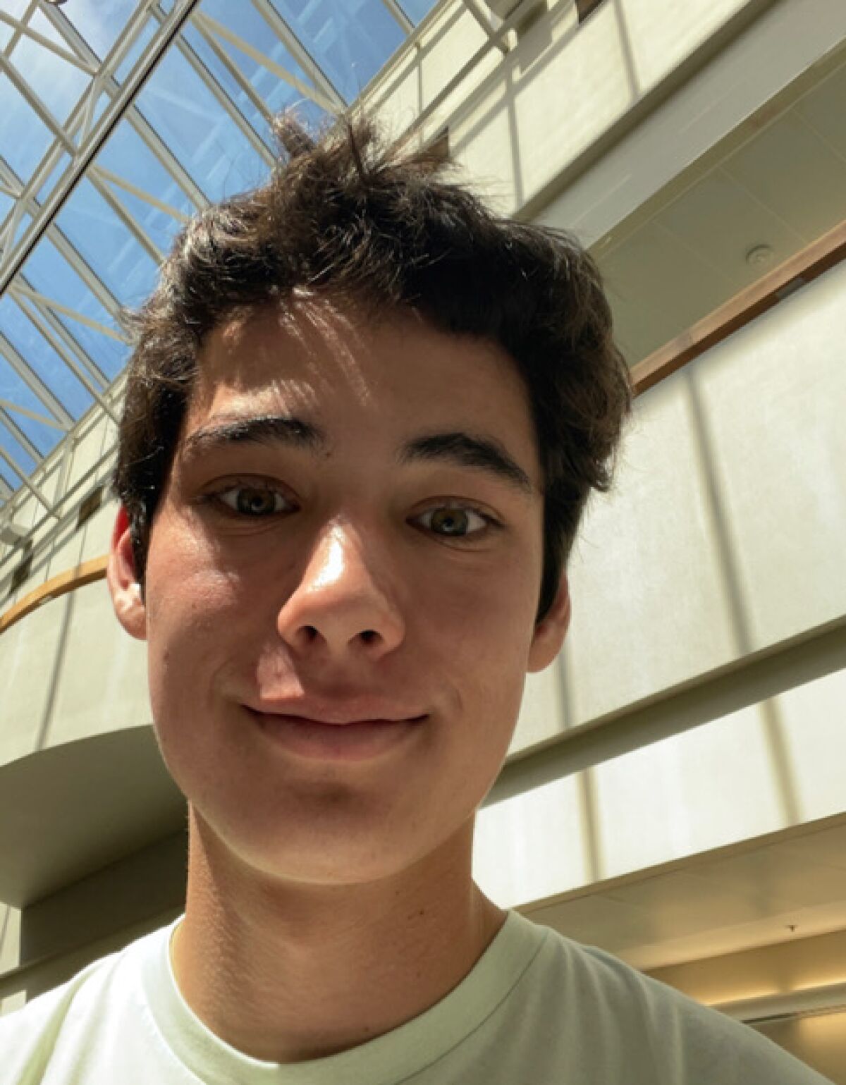 Eli Browne, an incoming senior at The Bishop’s School, won a gold medal for his piece "Del Mar, Disappearing."