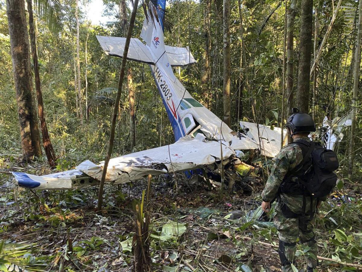 un soldado permanece frente a los restos de una avioneta Cessna C206 