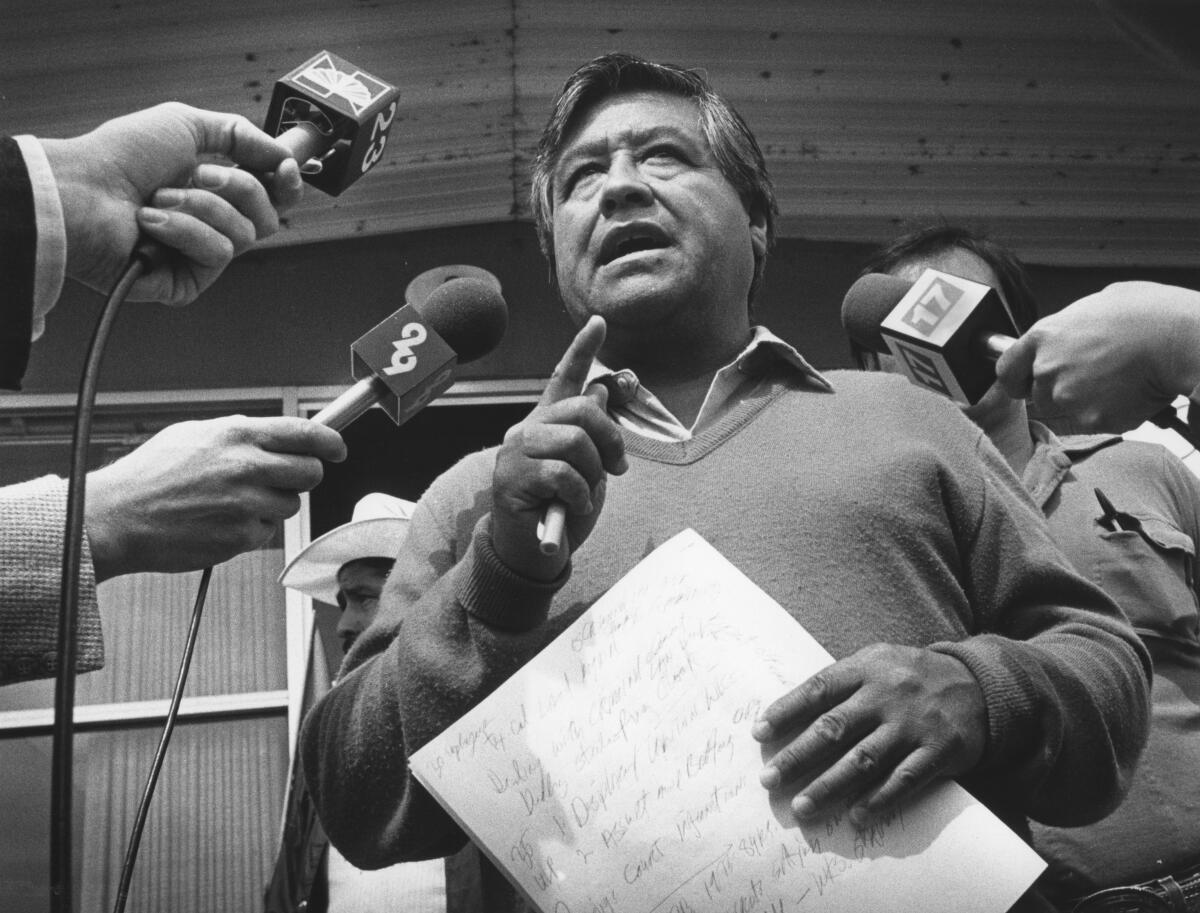 United Farm Workers leader Cesar Chavez with reporters in Delano, Calif.
