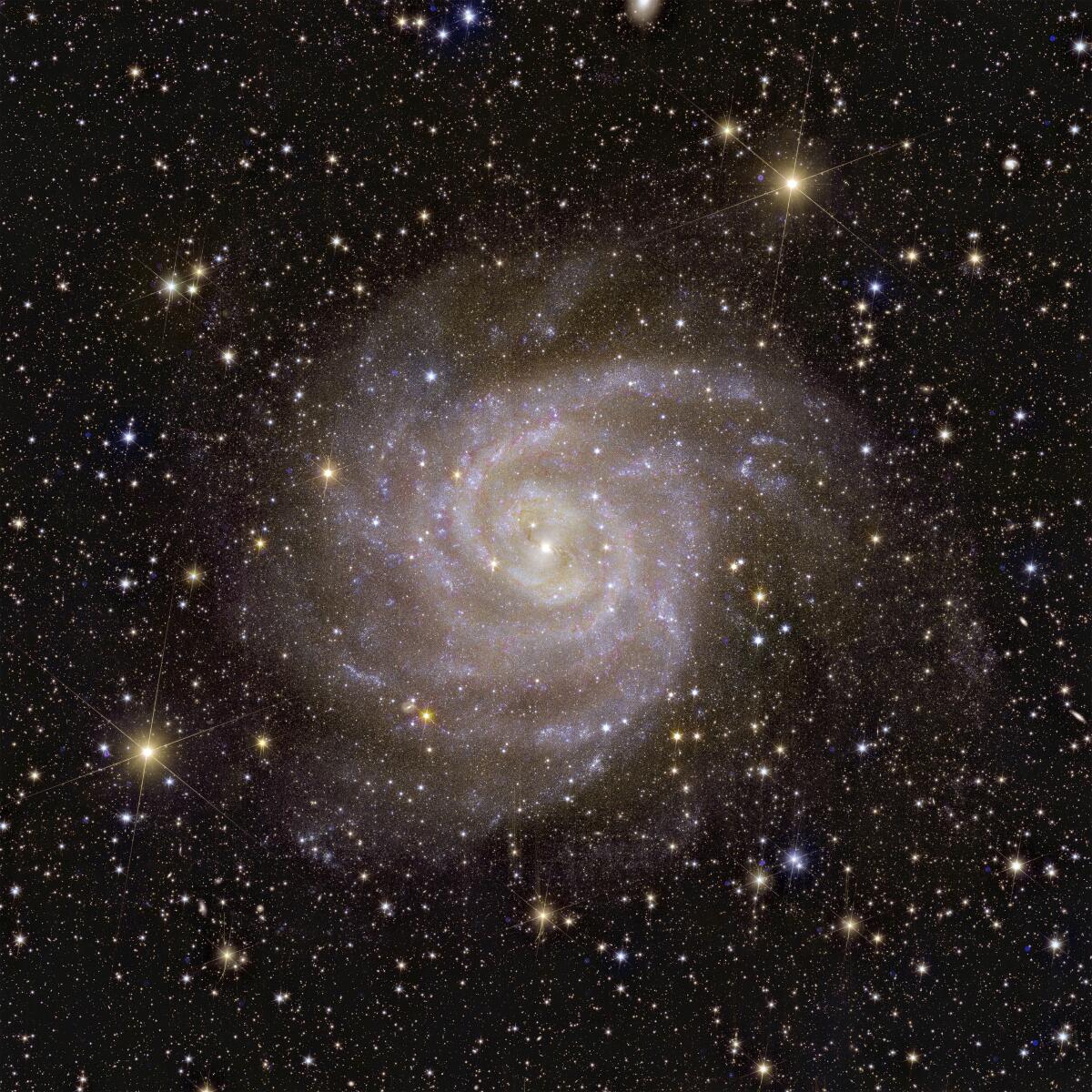 The galaxy called IC 342, as seen by the European Space Agency's Euclid telescope