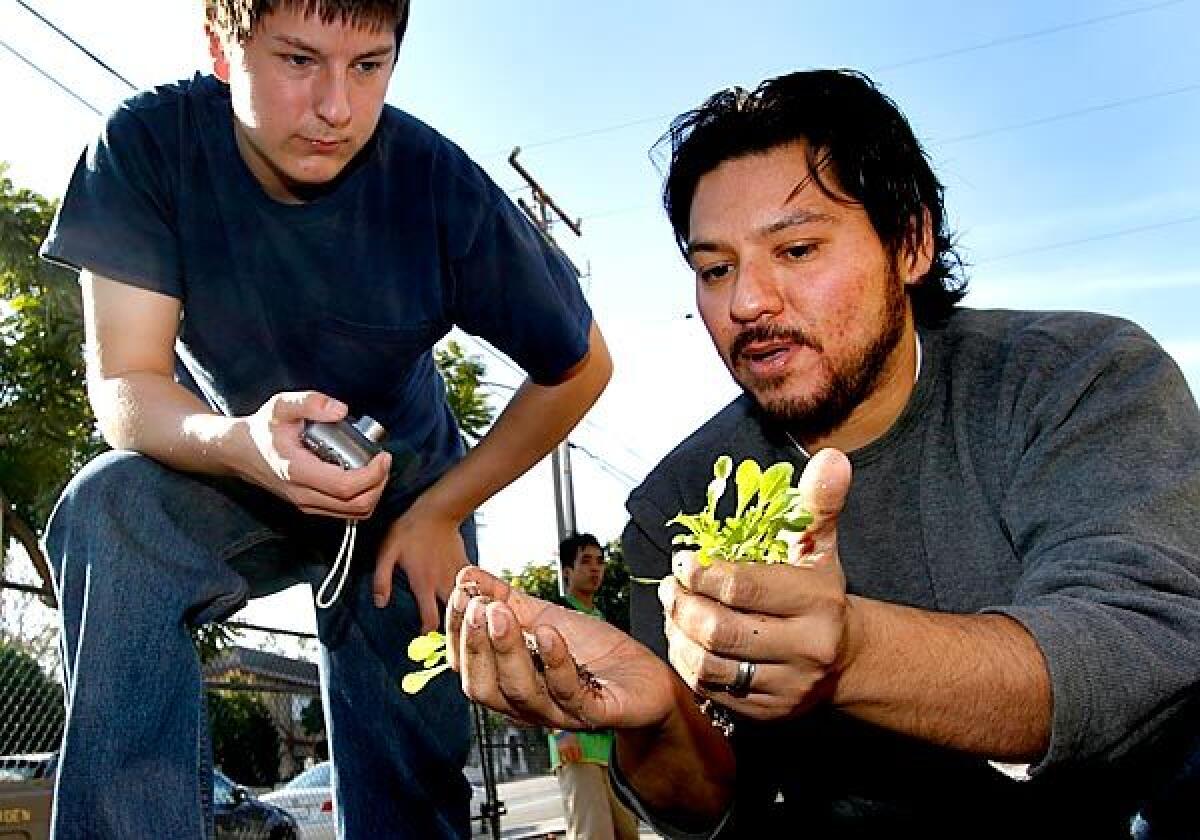 Chef Ray Garcia, right, shows Tobias Herber plants in the continuation school's garden.