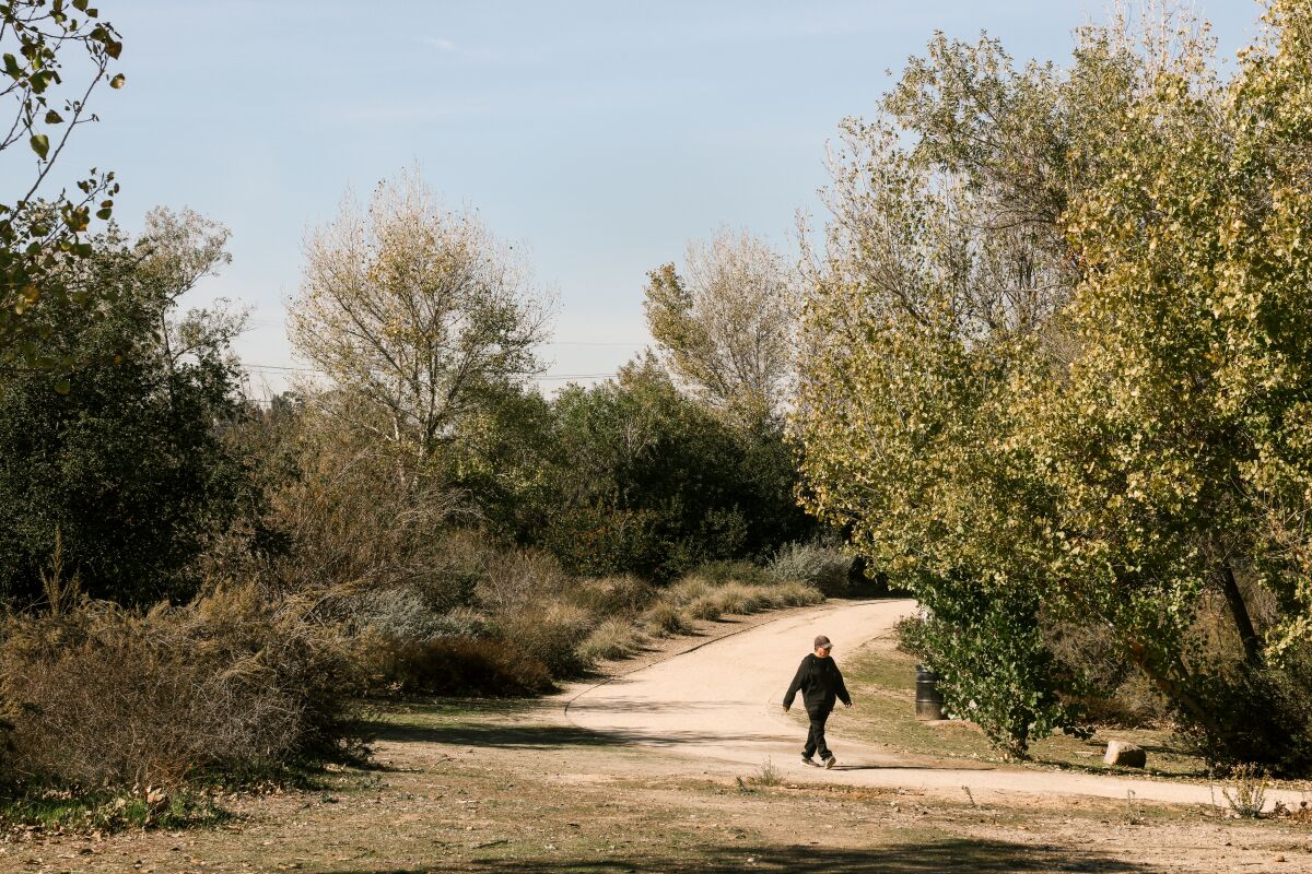 A person walks along a trail bordered by trees and shrubs