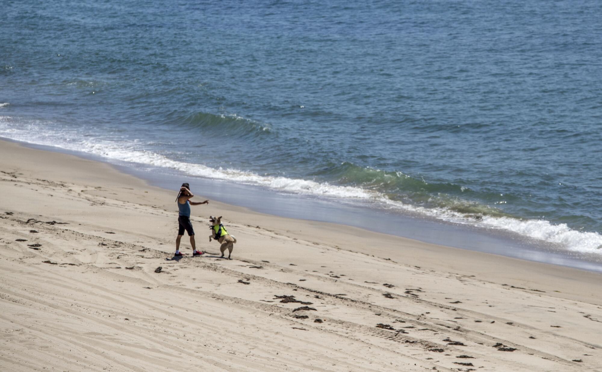 A man played fetch with his dog Saturday on Rocky Beach in Malibu, despite law enforcement efforts to keep people off closed Los Angeles County beaches.