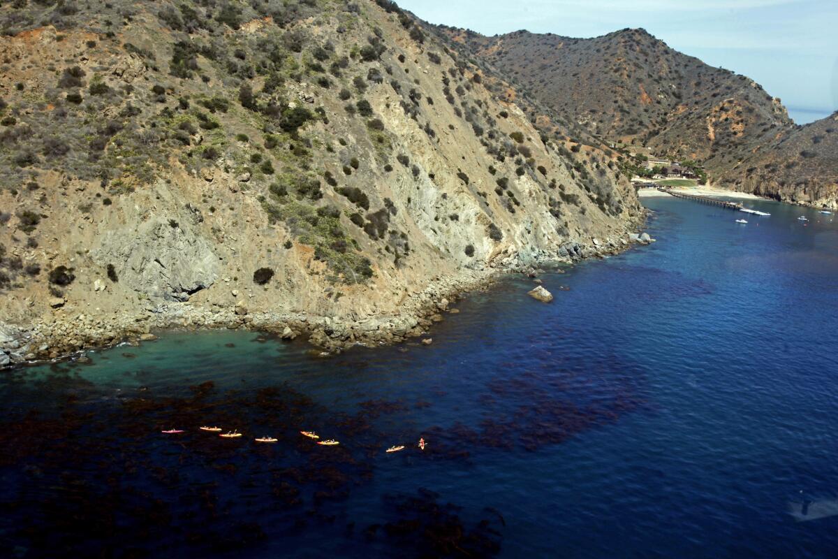 Kayakers assemble on the leeward side of Santa Catalina Island near Long Point, where rescuers responded Tuesday night to a report of sinking boat with two people on board.