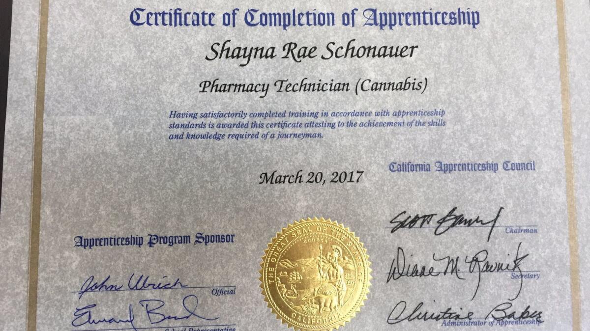 El certificado de Shayna Schonauer, emitido por el Departamento de Relaciones Industriales de California (Robin Abcarian/Los Angeles Times).